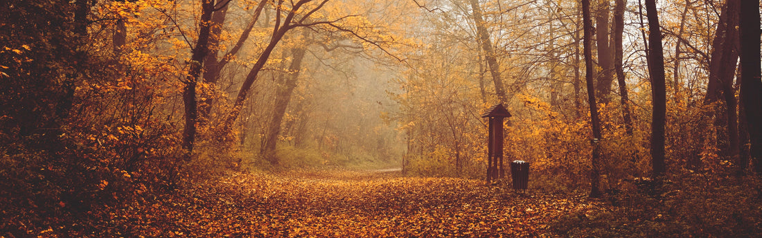 Hiking Into Halloween