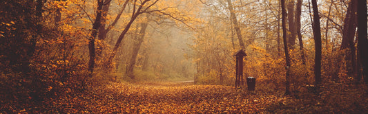 Hiking Into Halloween