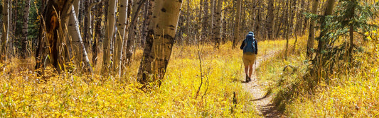Finding Inspiration on the Trail This Fall